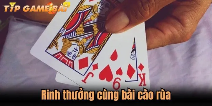 cach choi bai cao rua Chiến thuật chơi bài cào rùa không thể thua
