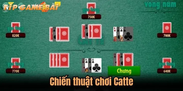 chien thuat catte Bật mí chiến thuật đánh Catte bách thắng