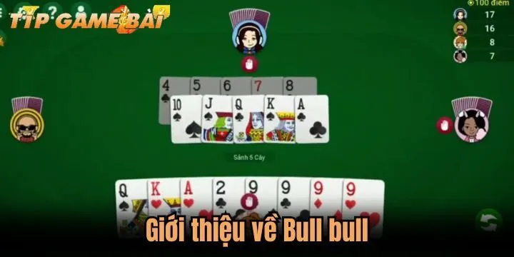 gioi thieu bull bull Bull bull nổi tiếng được tín đồ cá cược yêu thích