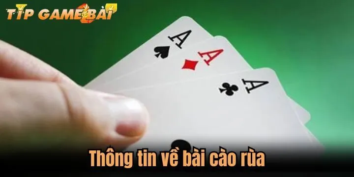 thong tin bai cao rua Thông tin cần quan tâm về bài cào rùa