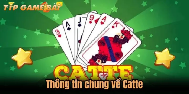 thong tin chung ve catte Thông tin về Catte được săn lùng